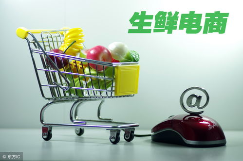 開網(wǎng)店如何辦理食品經(jīng)營(yíng)許可證 流程、要求與注意事項(xiàng)詳解